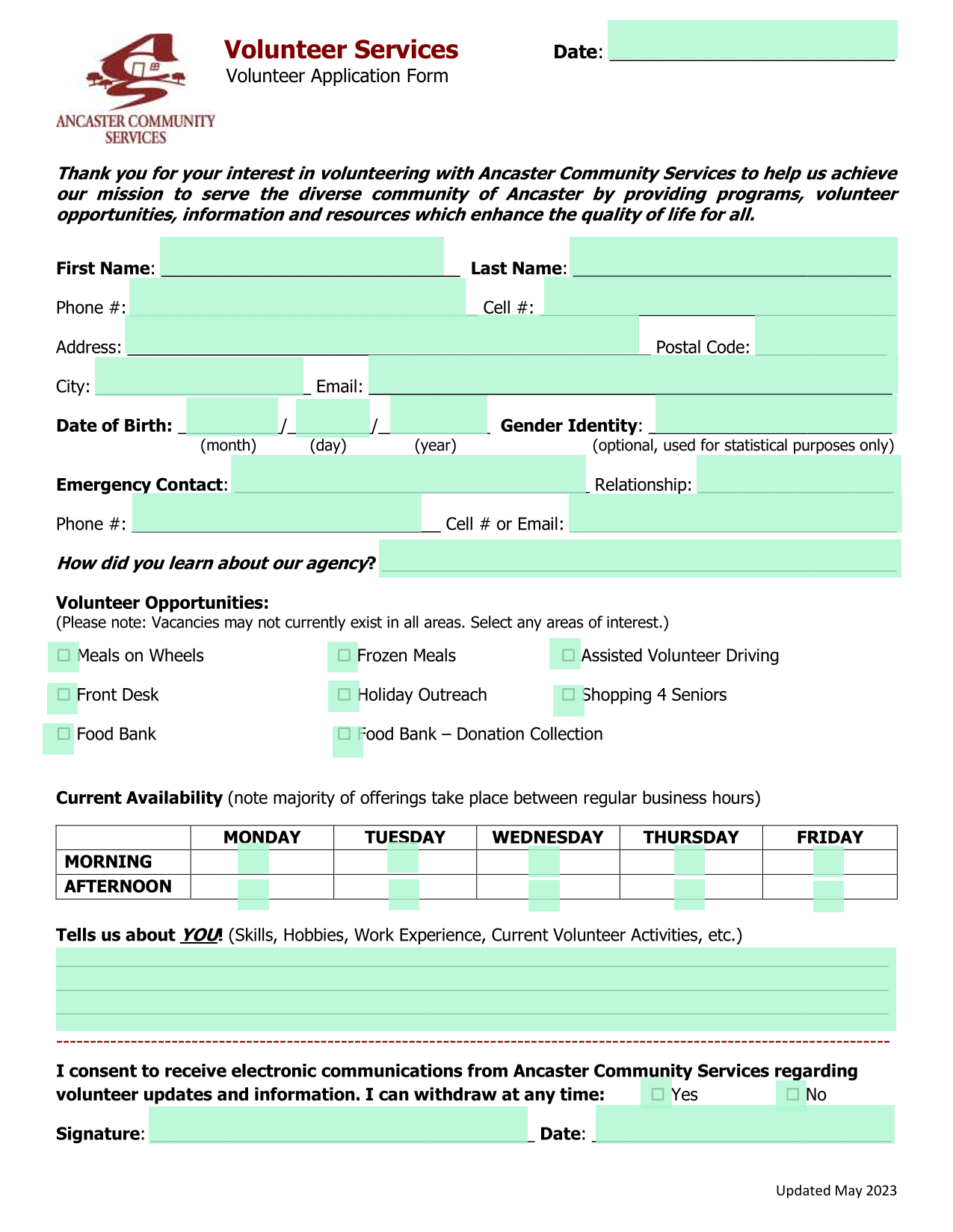 Volunteer Application Form screenshot