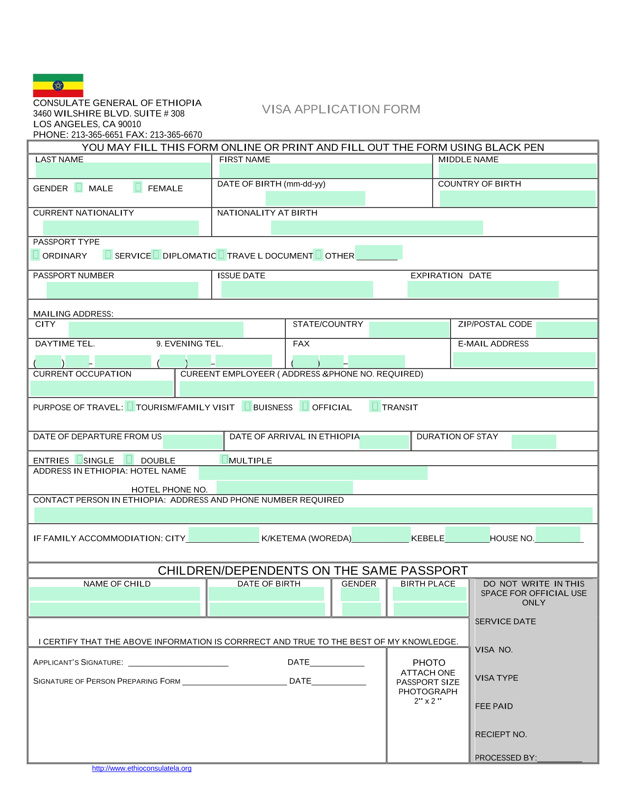 VISA APPLICATION FORM screenshot