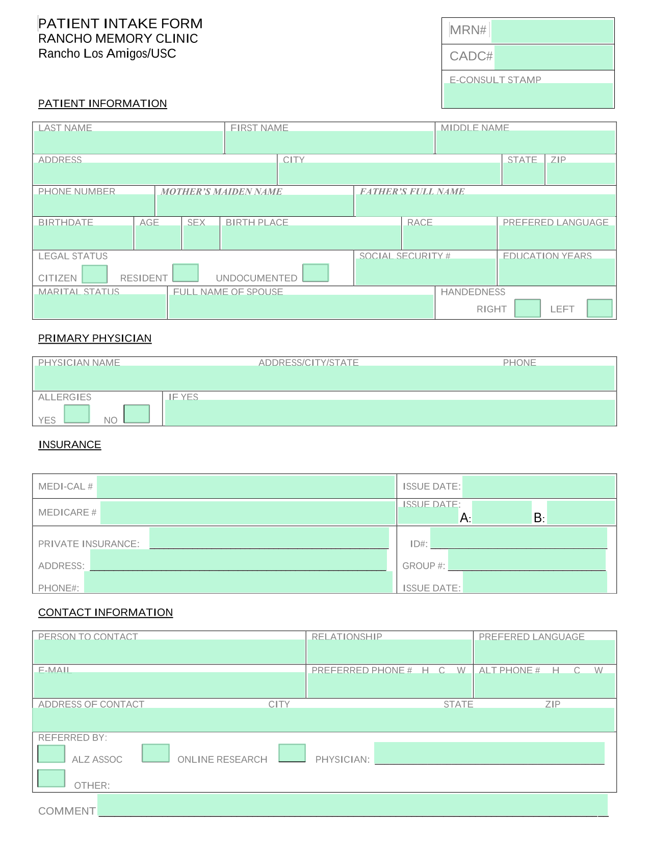 Patient Intake Form screenshot