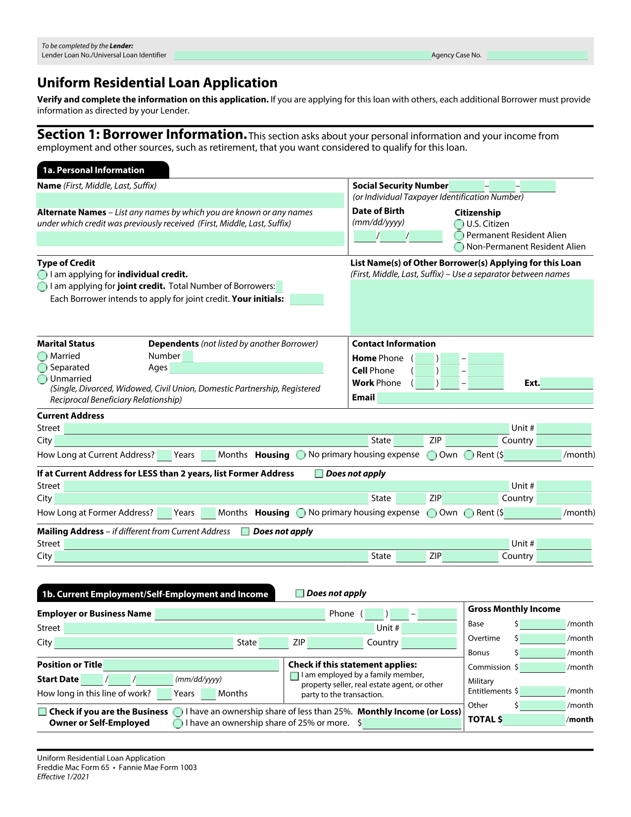 Uniform Residential Loan Application screenshot