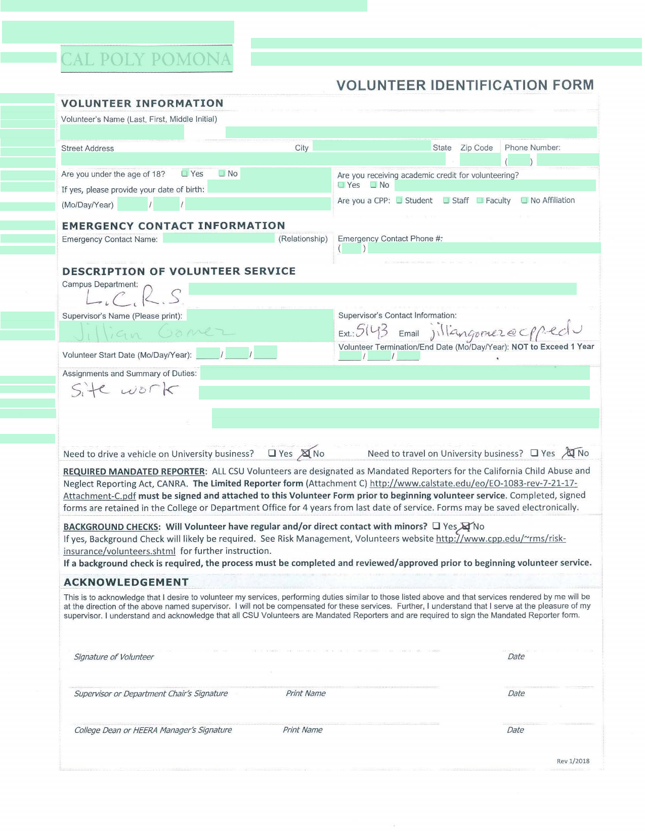 Volunteer Information Form screenshot