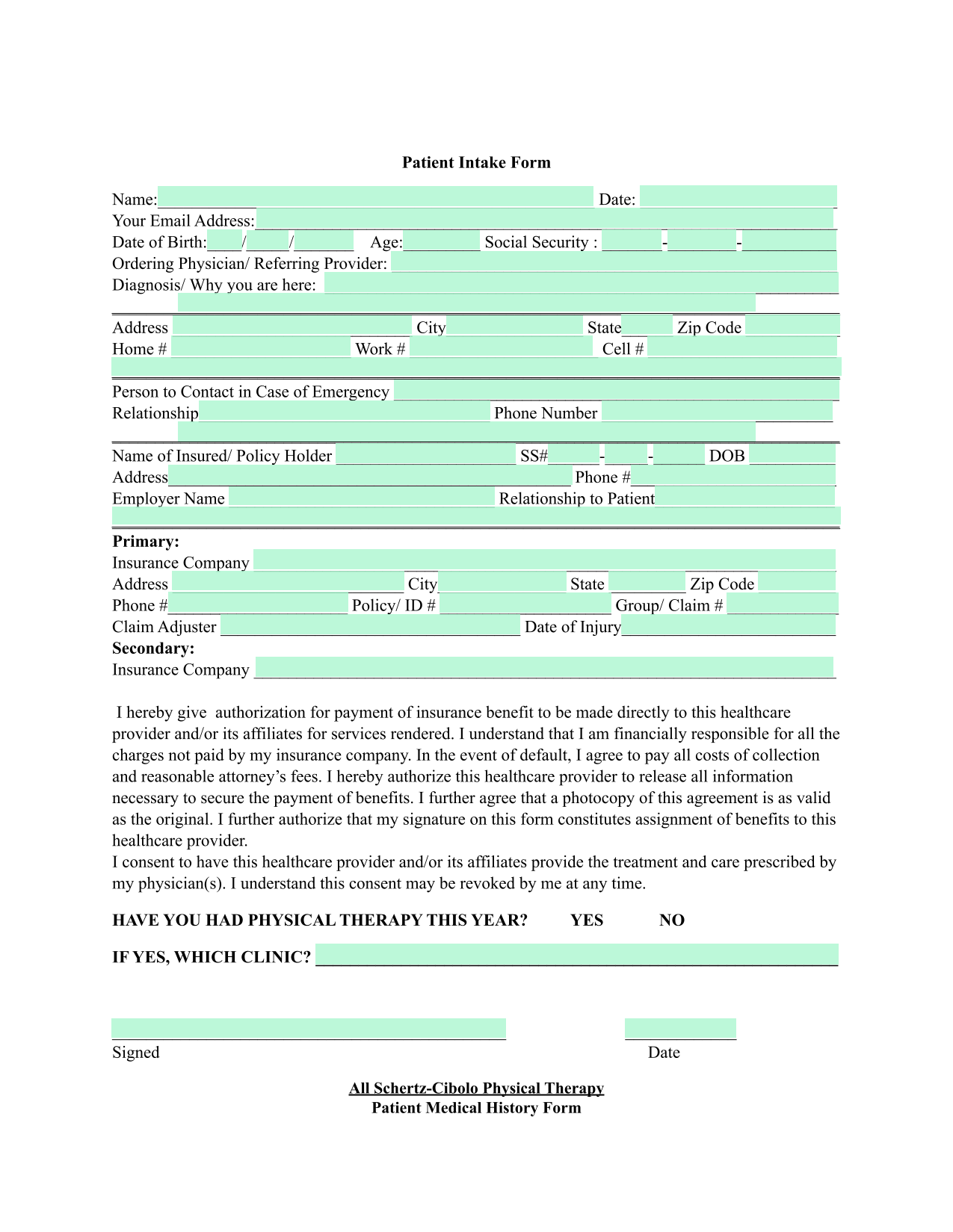 Patient Intake Form screenshot