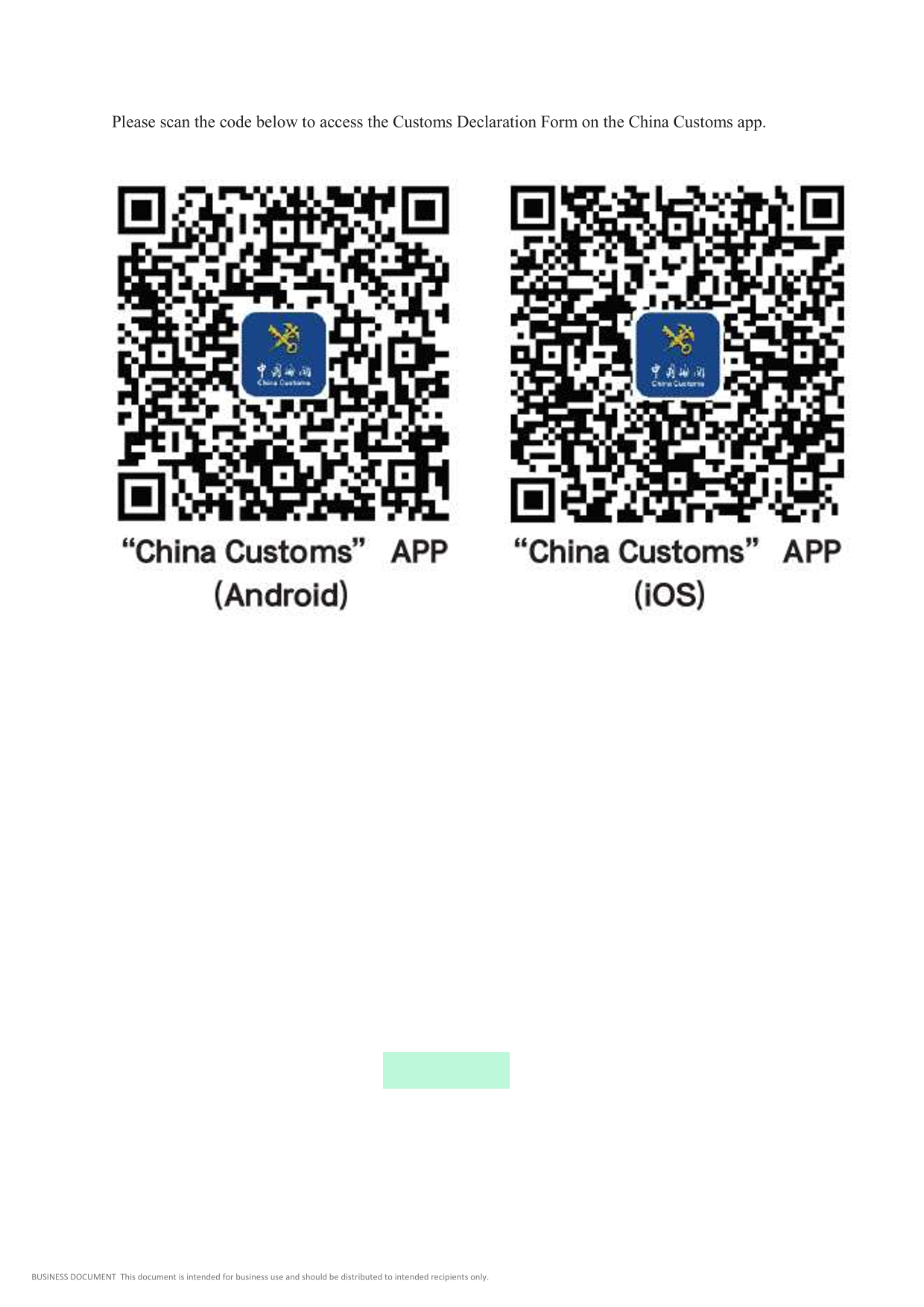 Customs Declaration Form screenshot