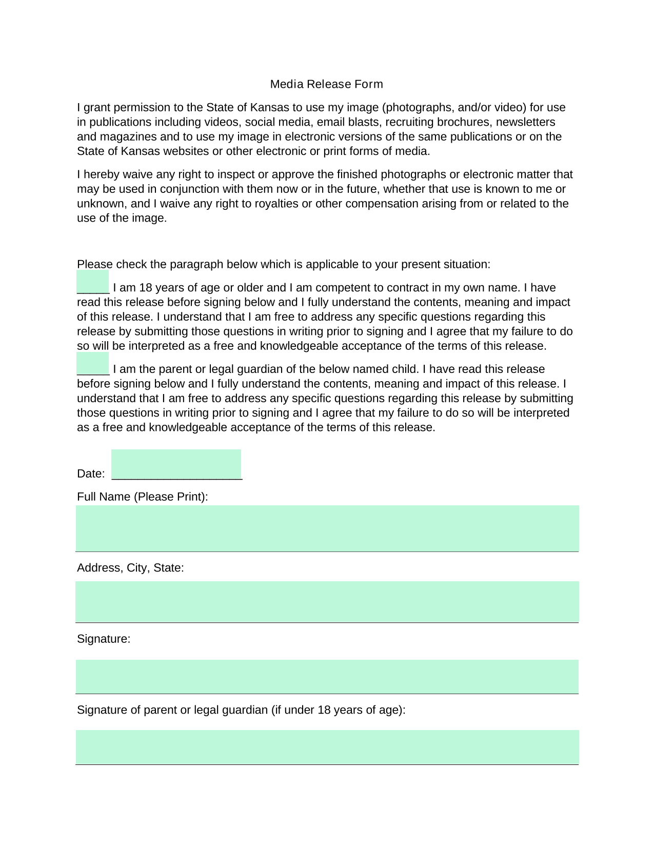 Media Release Form screenshot