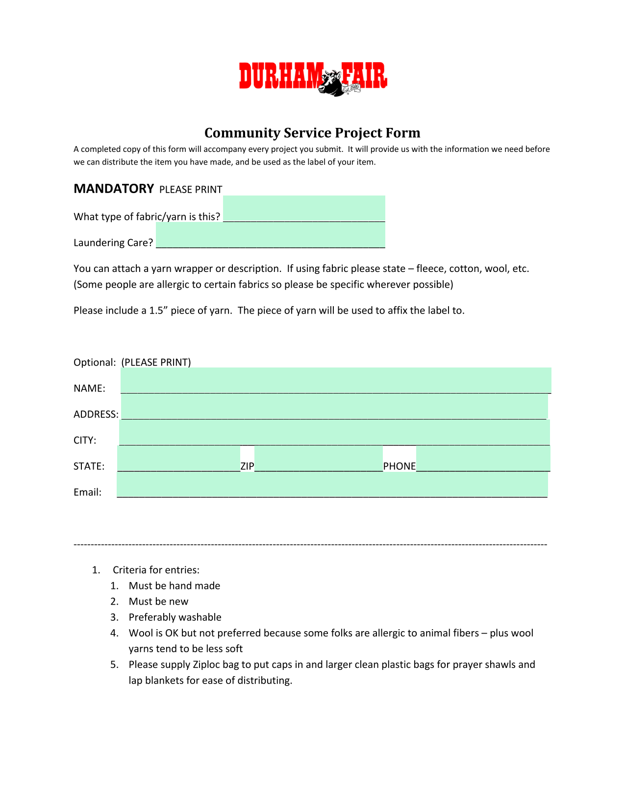 Community Service Project Form screenshot