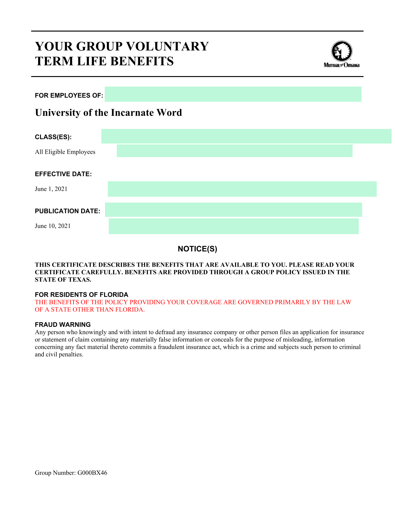 YOUR GROUP VOLUNTARY TERM LIFE BENEFITS screenshot