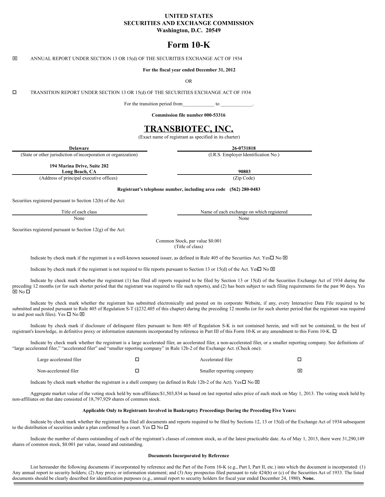 Form 10 K screenshot