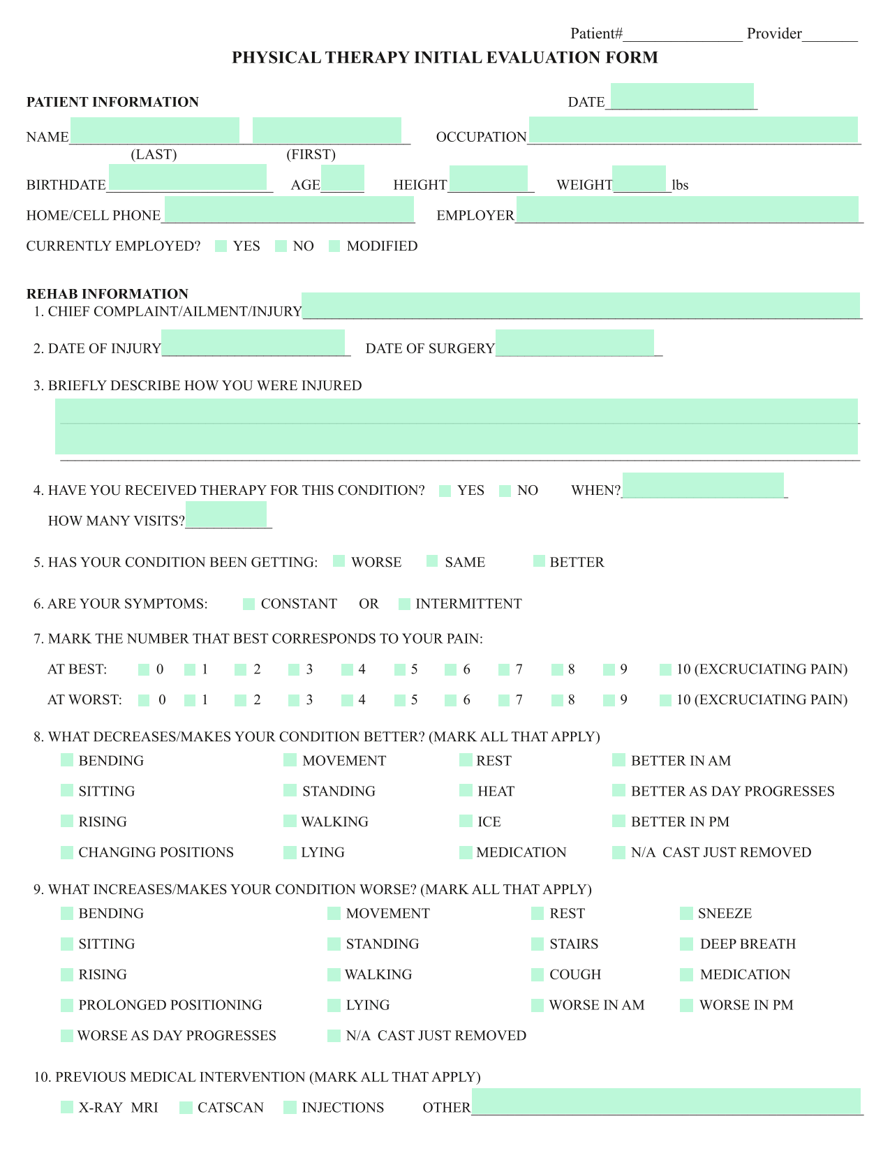 PHYSICAL THERAPY INITIAL EVALUATION FORM screenshot