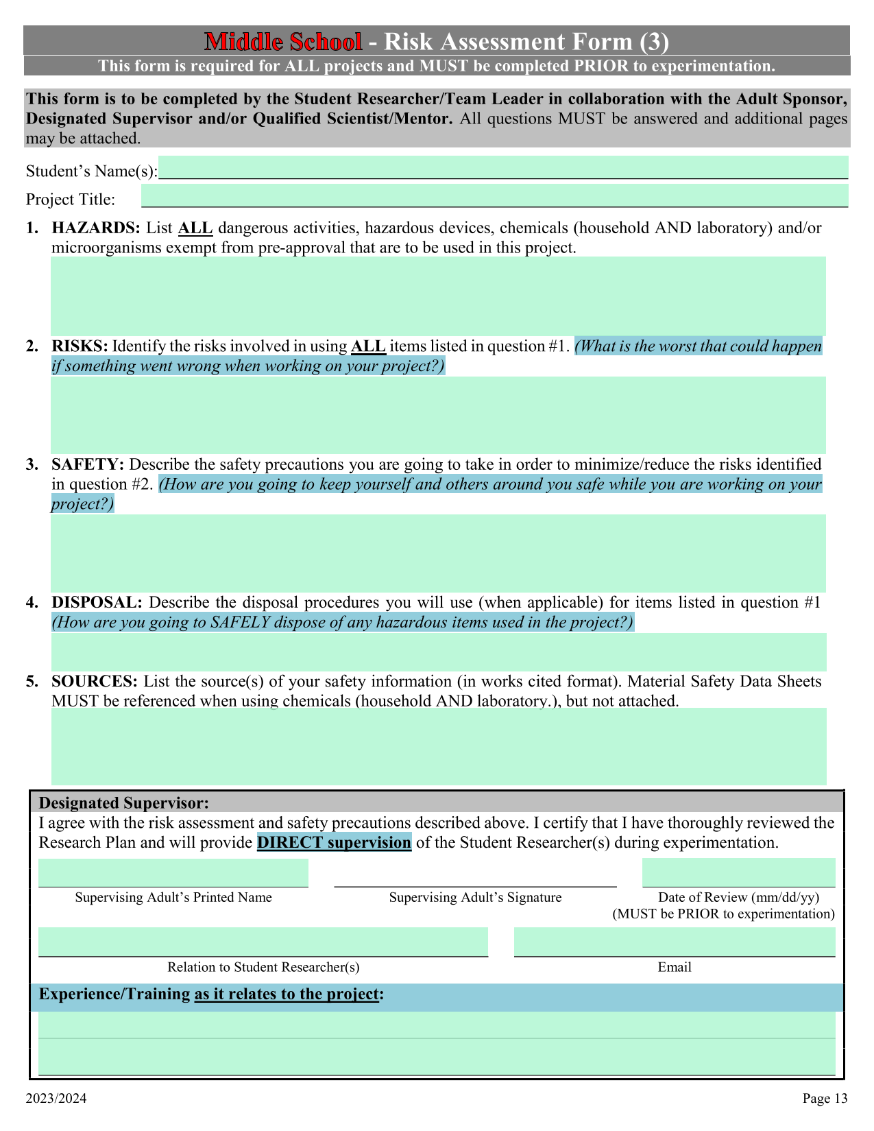 Risk Assessment Form (3) screenshot