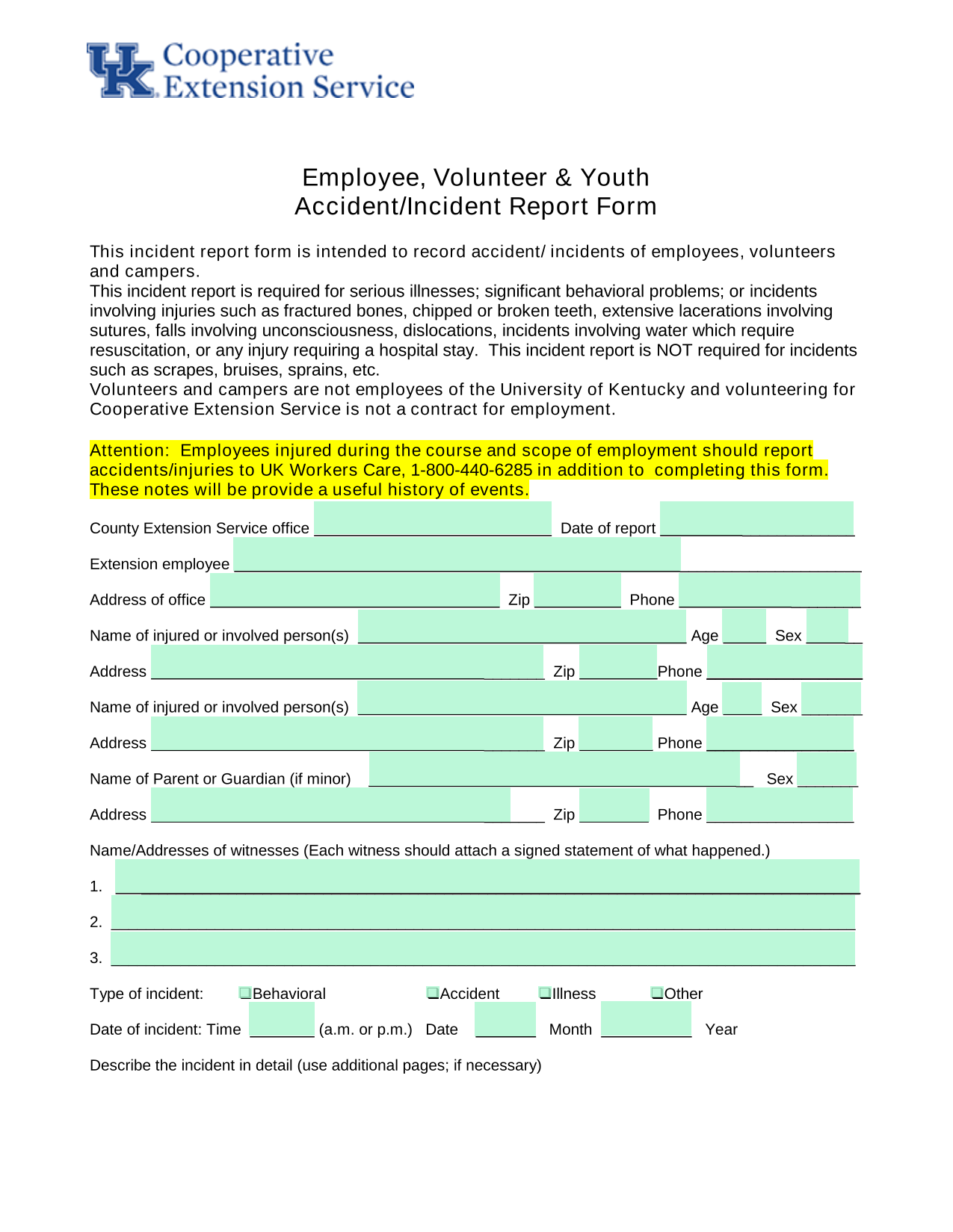 Employee, Volunteer  Youth AccidentIncident Report Form screenshot