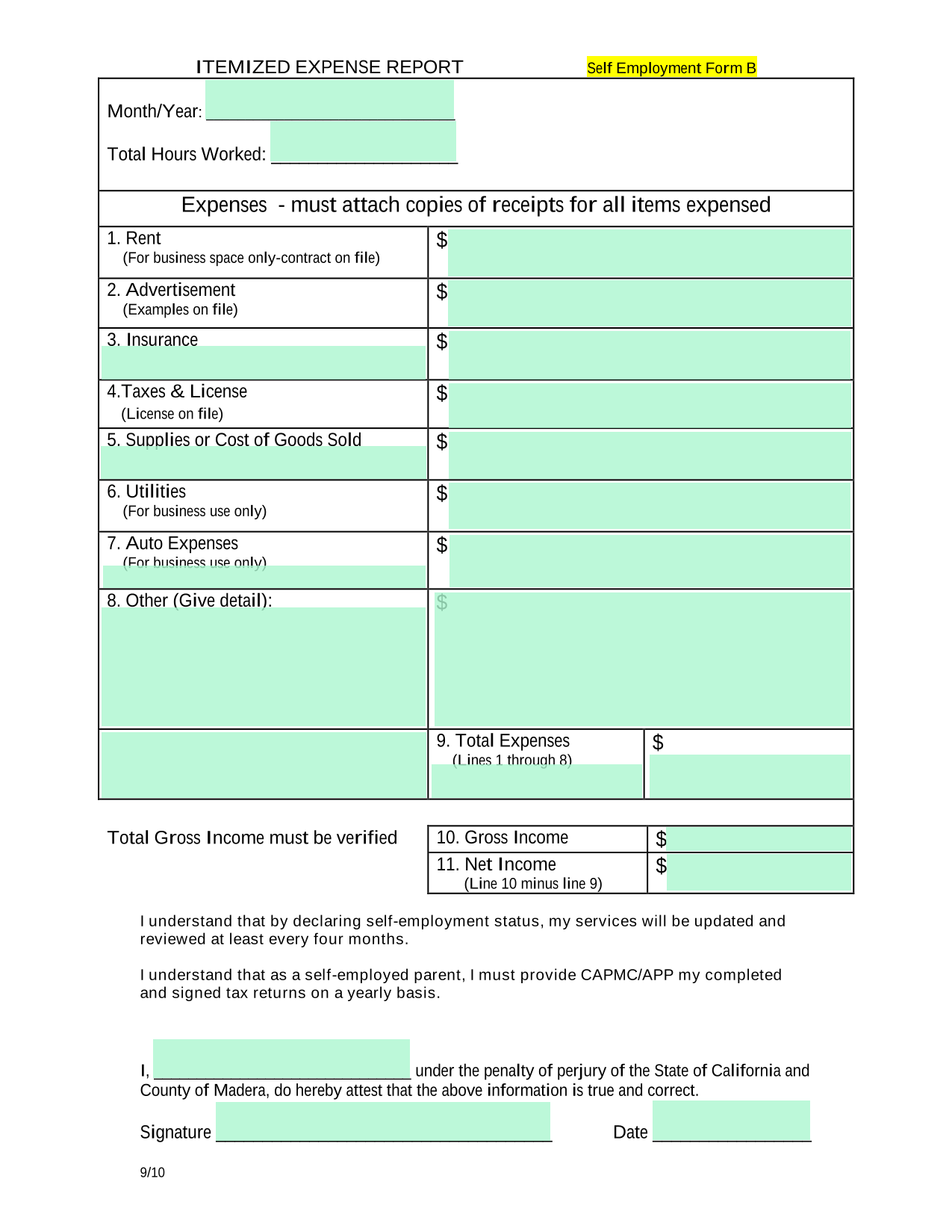 Self Employment Form B screenshot