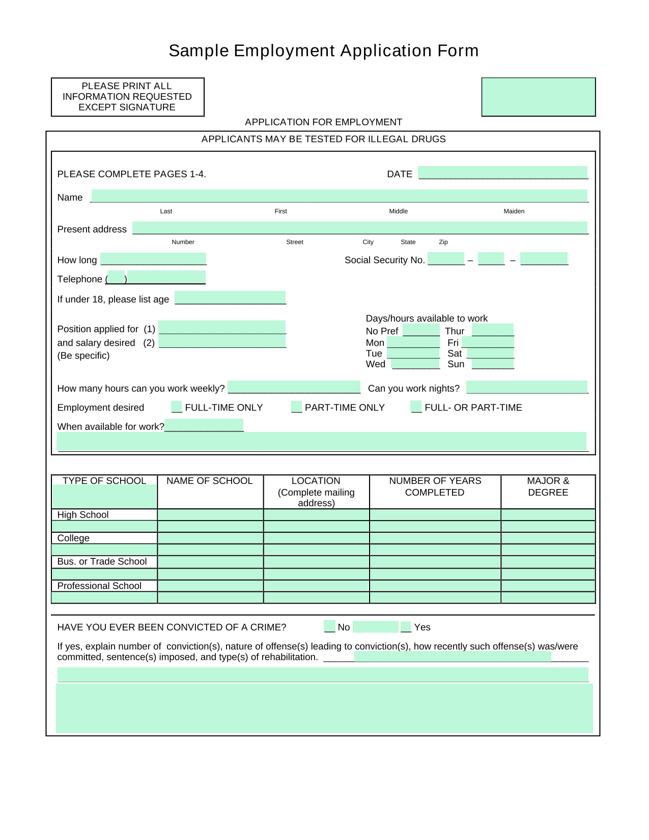 Sample Employment Application Form screenshot
