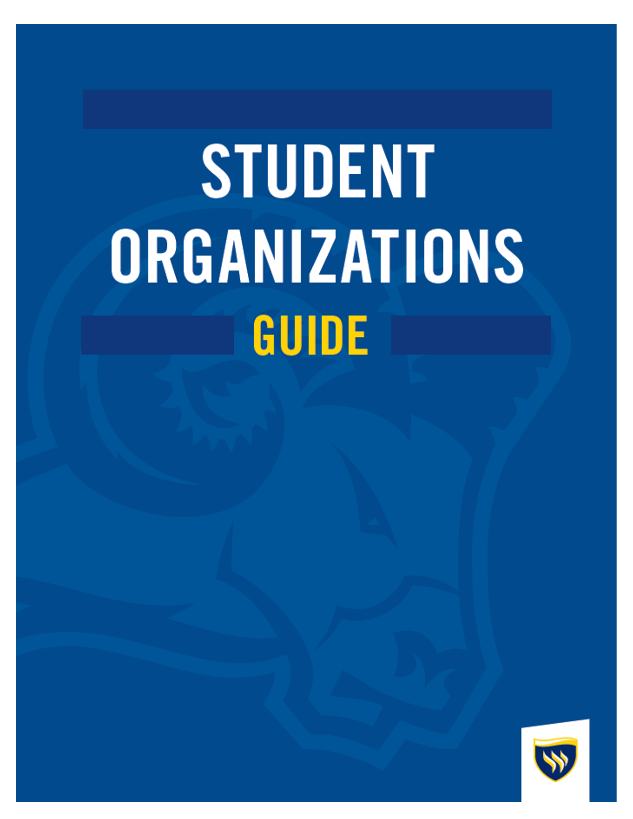 Registered Student Organization Handbook screenshot