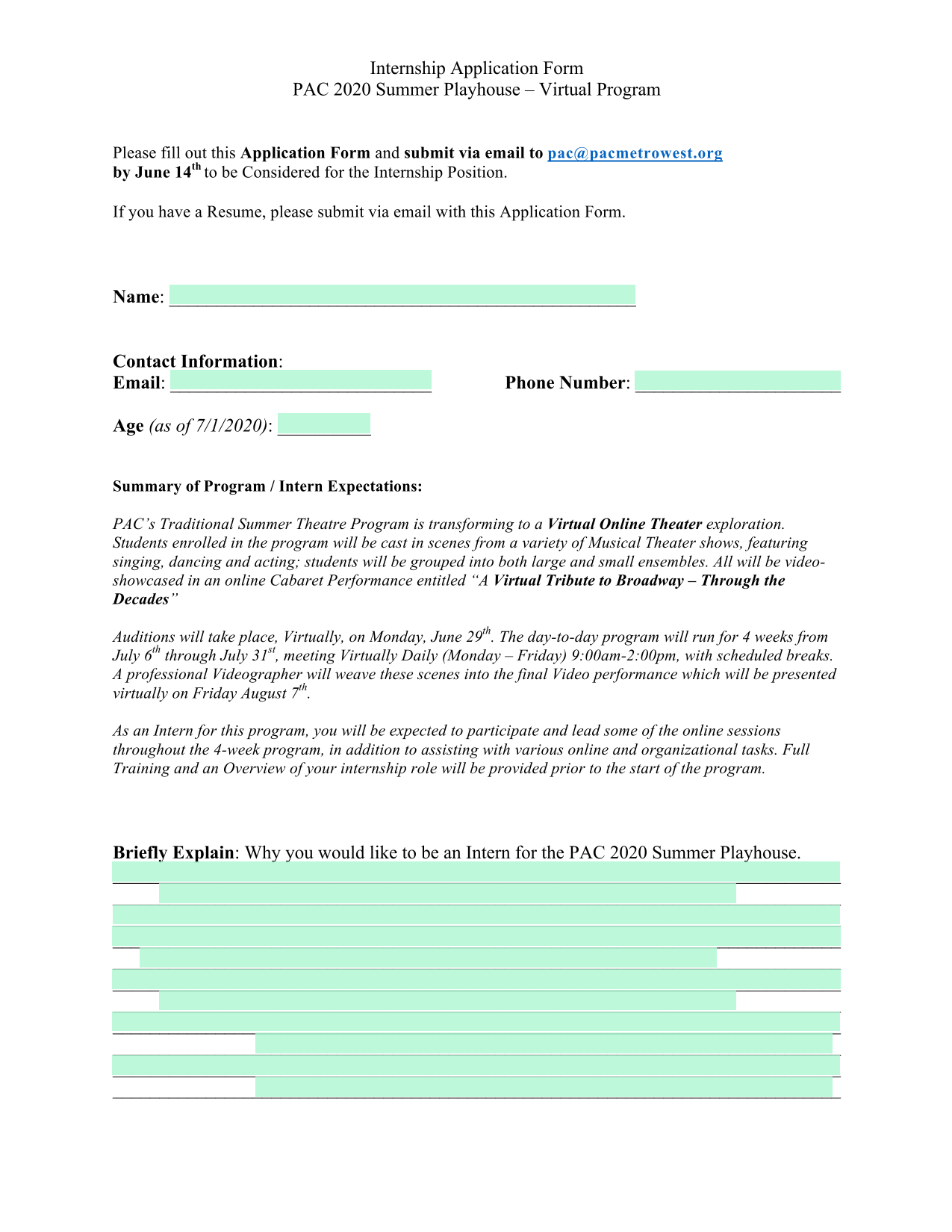 Internship Application Form screenshot