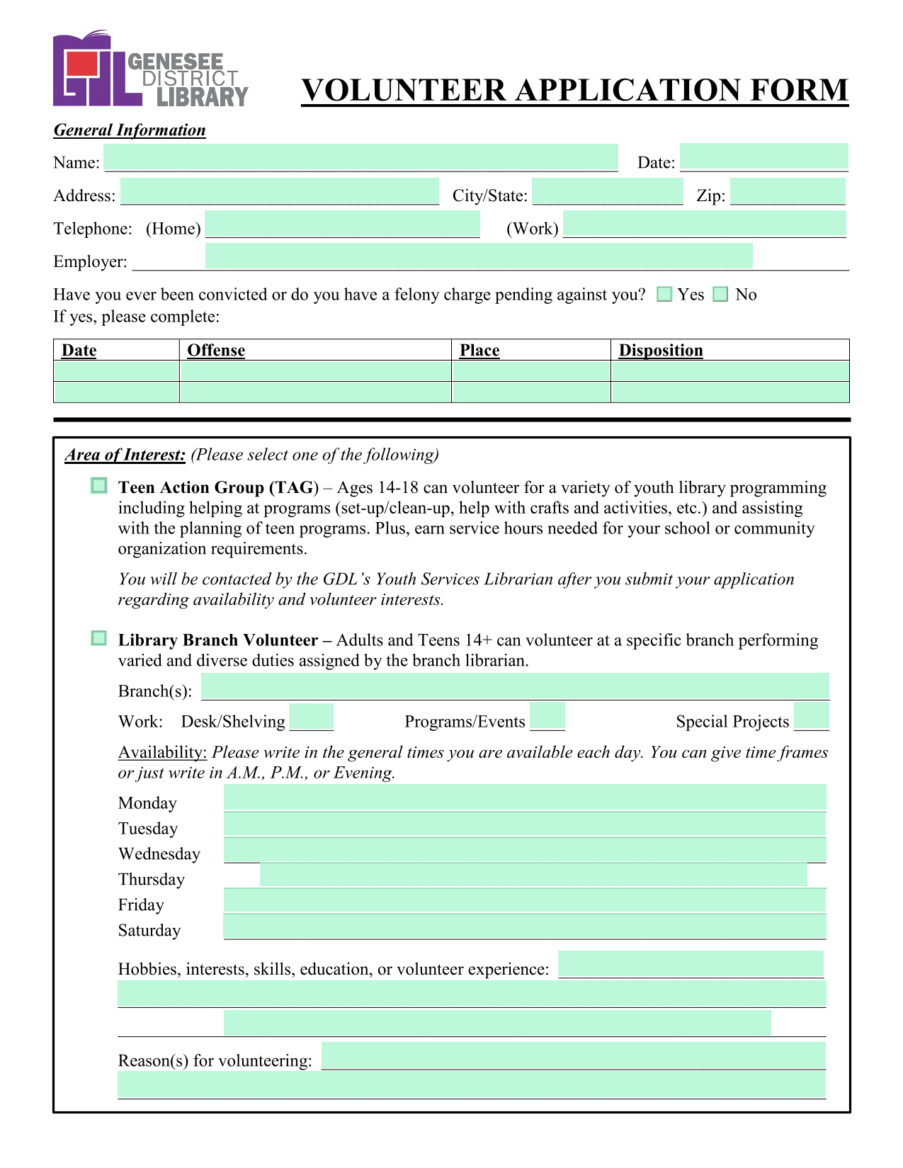Volunteer Application Form screenshot
