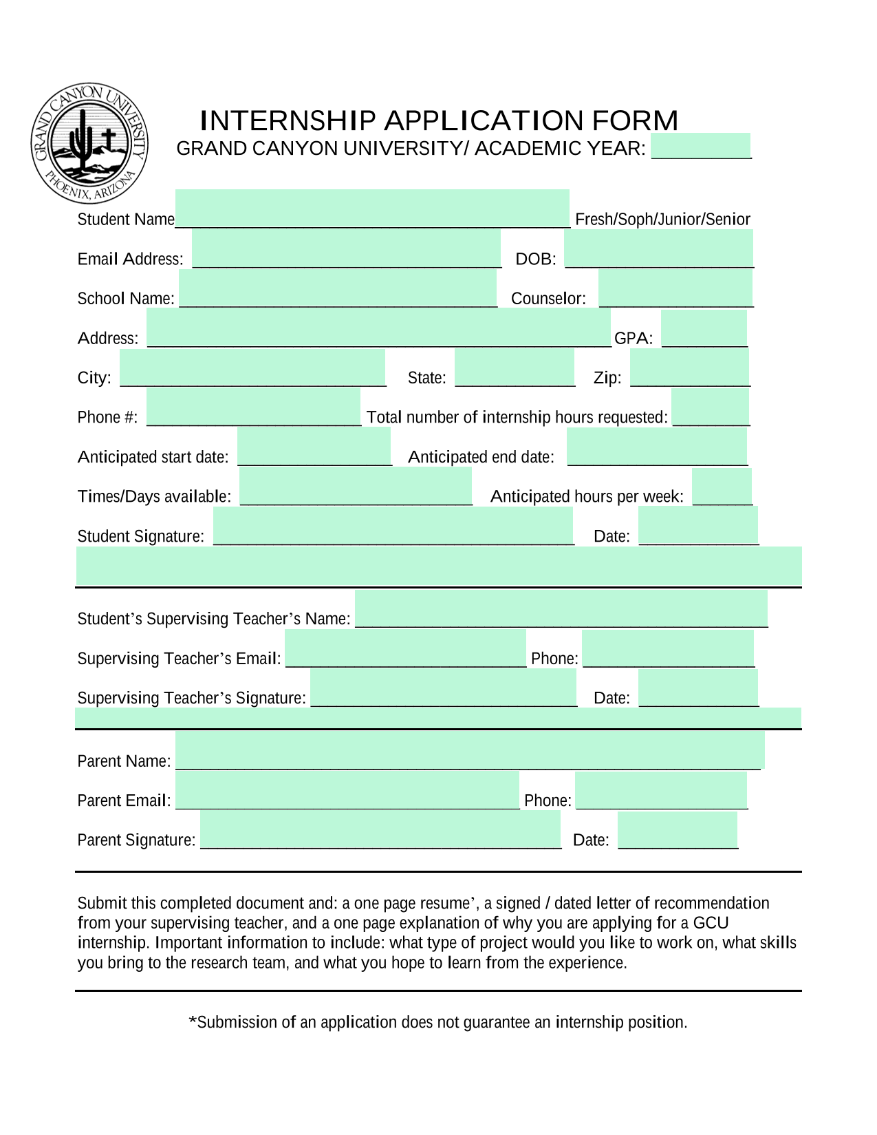 Internship Application Form screenshot