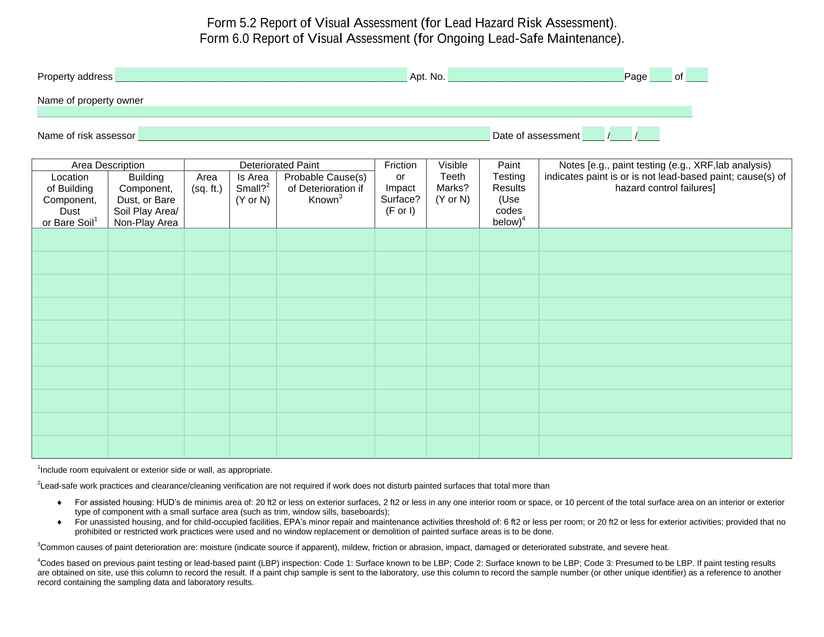 Form 5.26.0 Report Of Visual Assessment screenshot