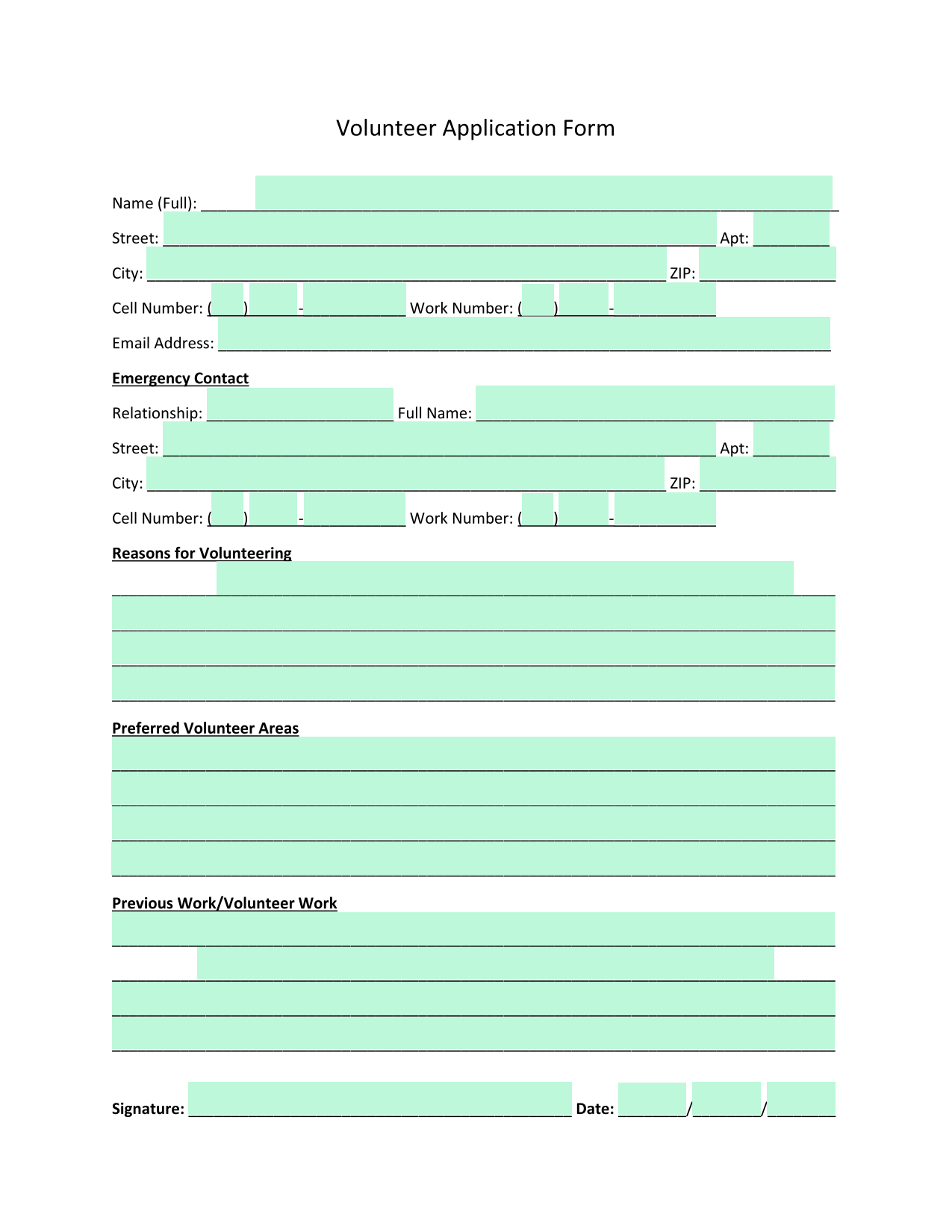 Volunteer Application Form screenshot