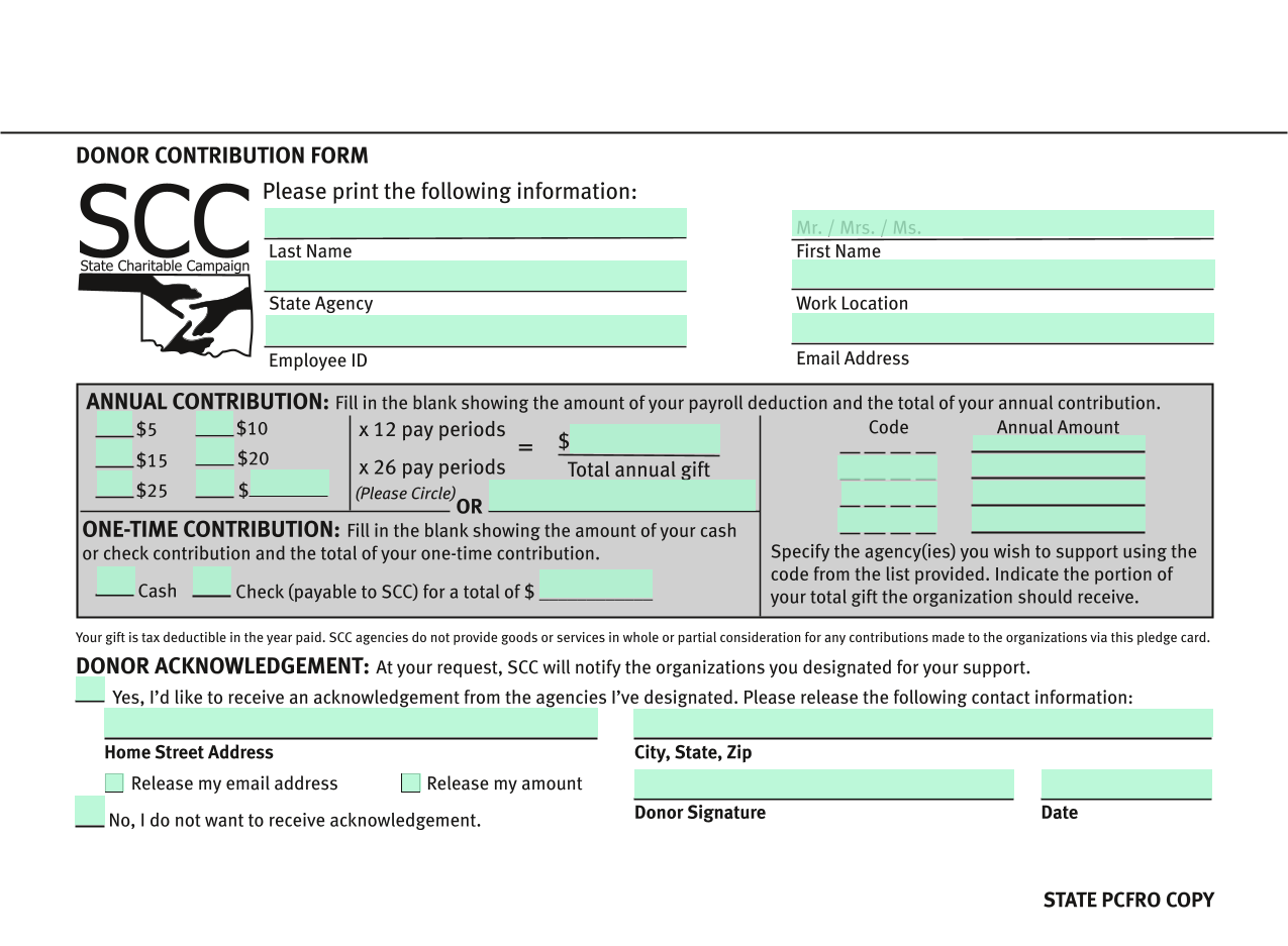 DONOR CONTRIBUTION FORM screenshot