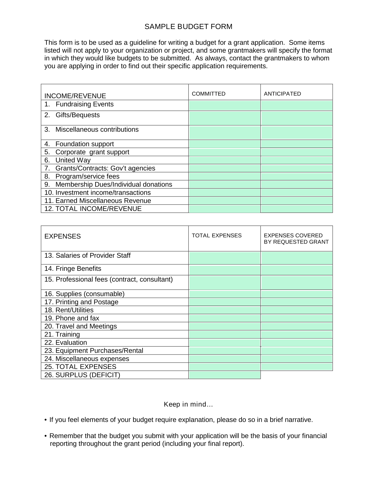 SAMPLE BUDGET FORM screenshot