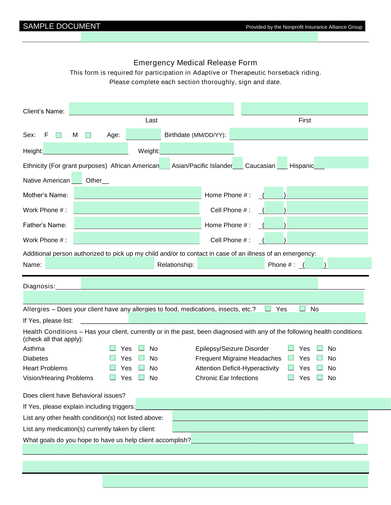 Emergency Medical Release Form screenshot
