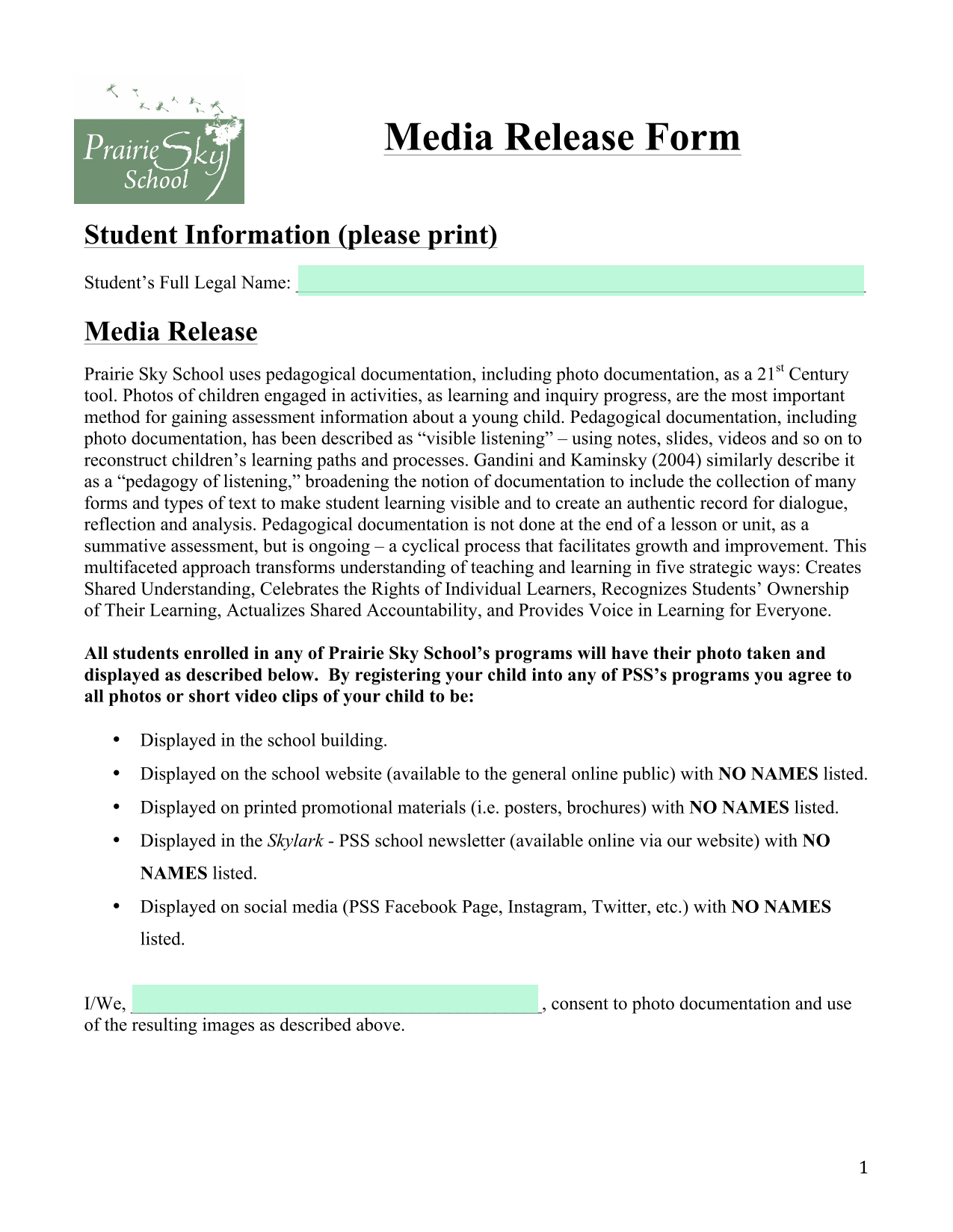 Media Release Form screenshot