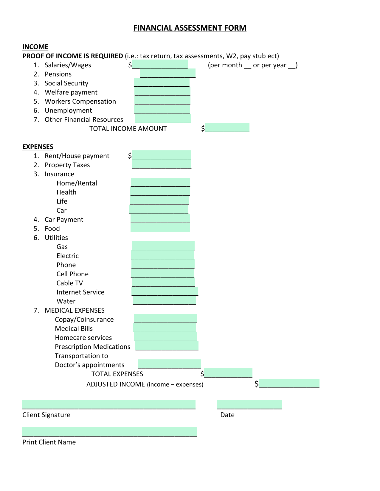 FINANCIAL ASSESSMENT FORM screenshot