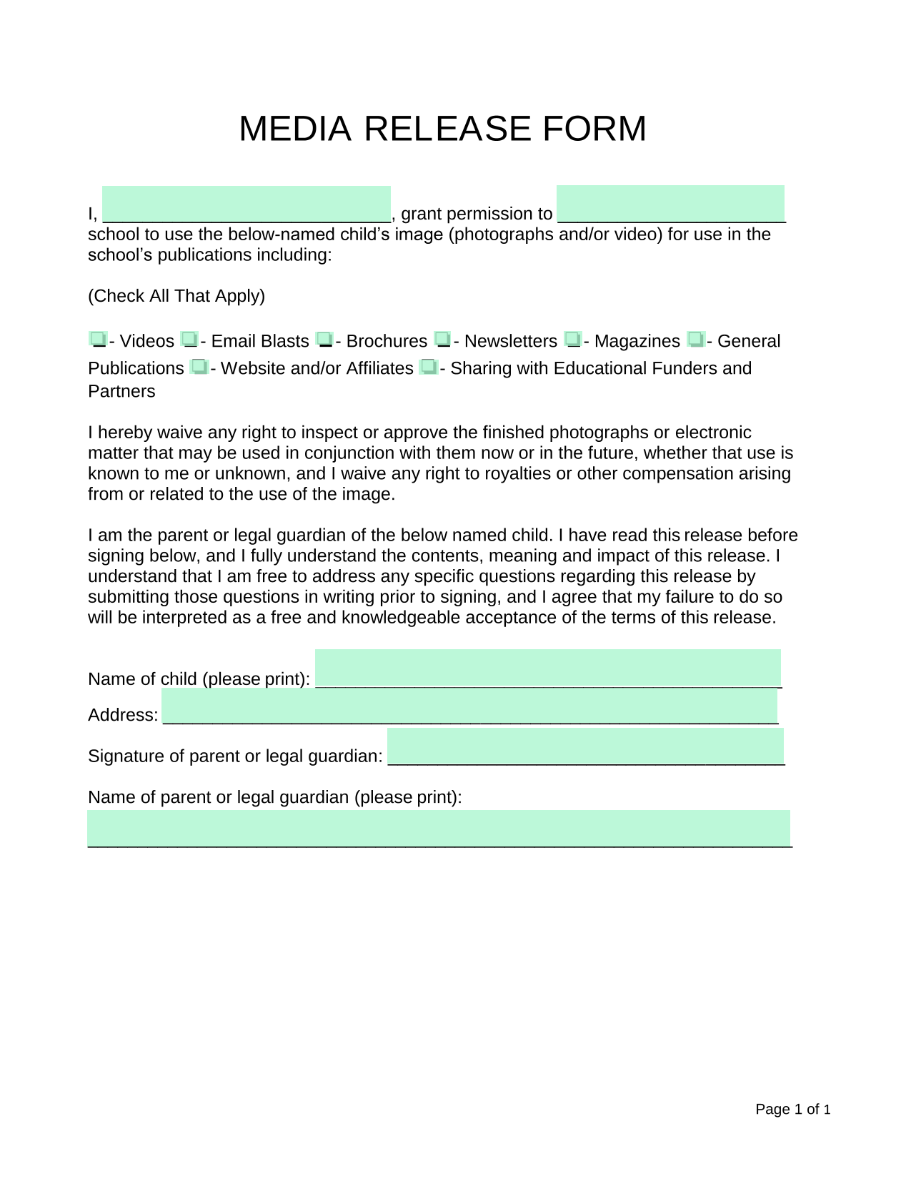 MEDIA RELEASE FORM screenshot