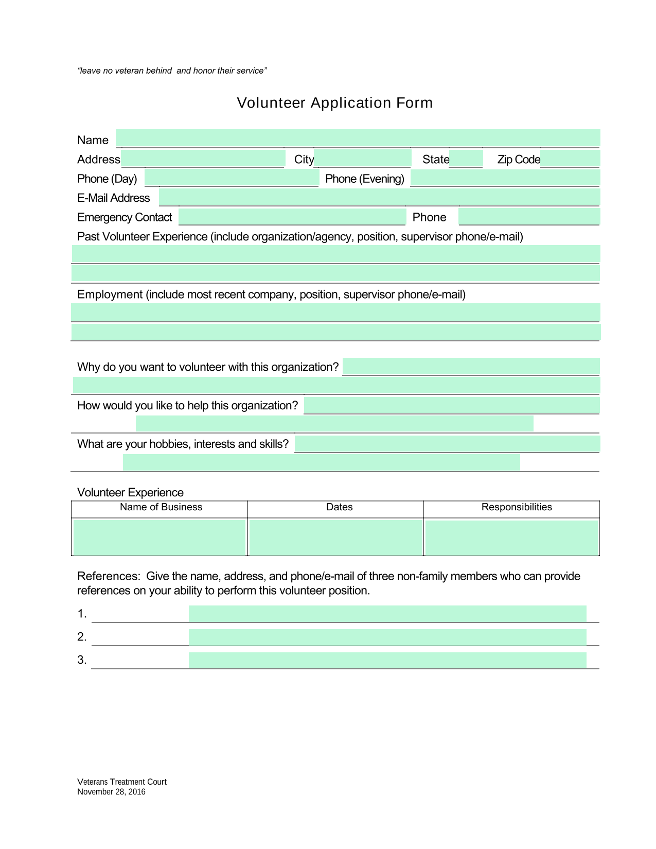 Volunteer Application Form screenshot