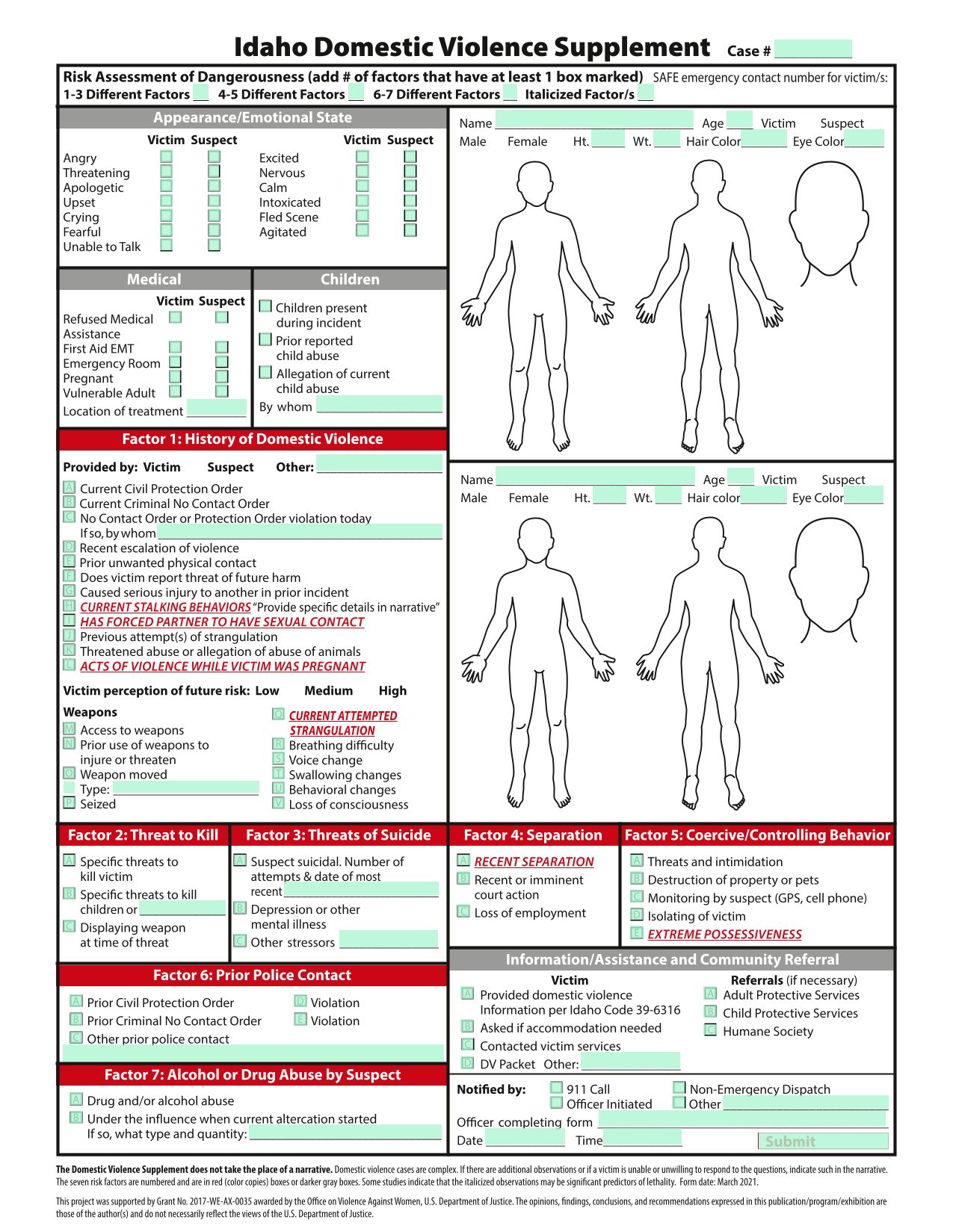 Idaho Domestic Violence Supplement screenshot