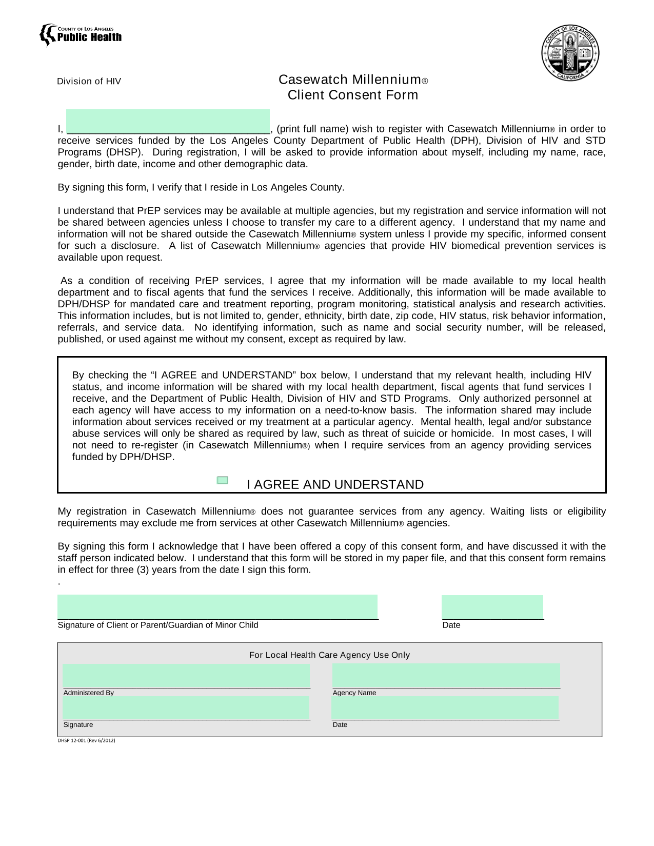 Casewatch Millennium Client Consent Form screenshot