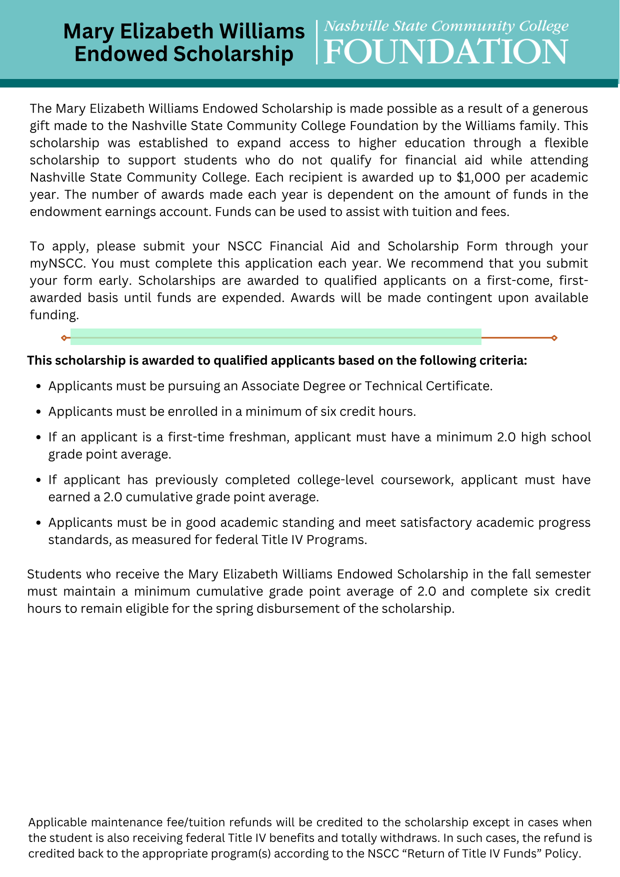 Mary Elizabeth Williams Endowed Scholarship screenshot