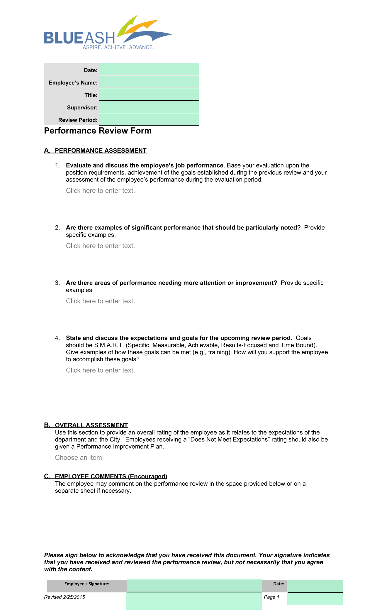 Performance Review Form screenshot