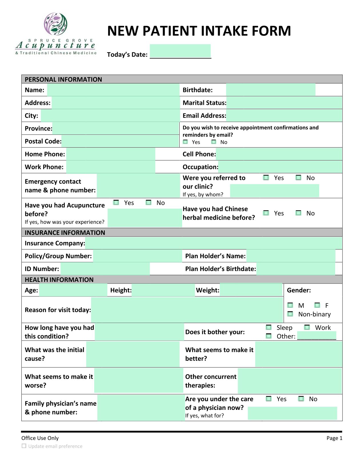NEW PATIENT INTAKE FORM screenshot
