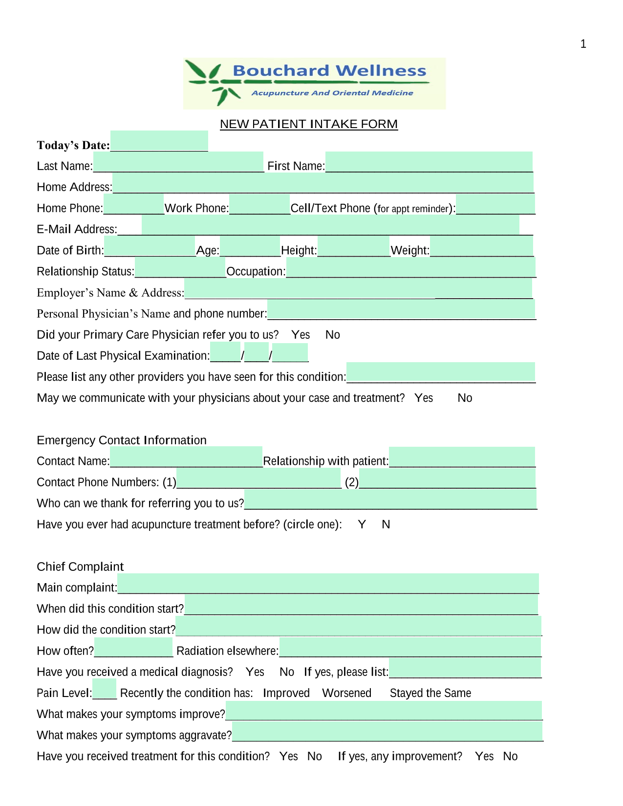 NEW PATIENT INTAKE FORM screenshot