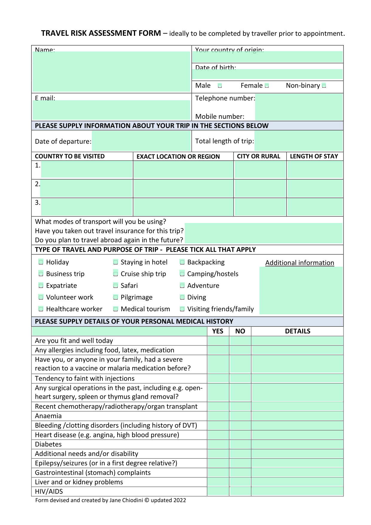 Travel Risk Assessment Form screenshot