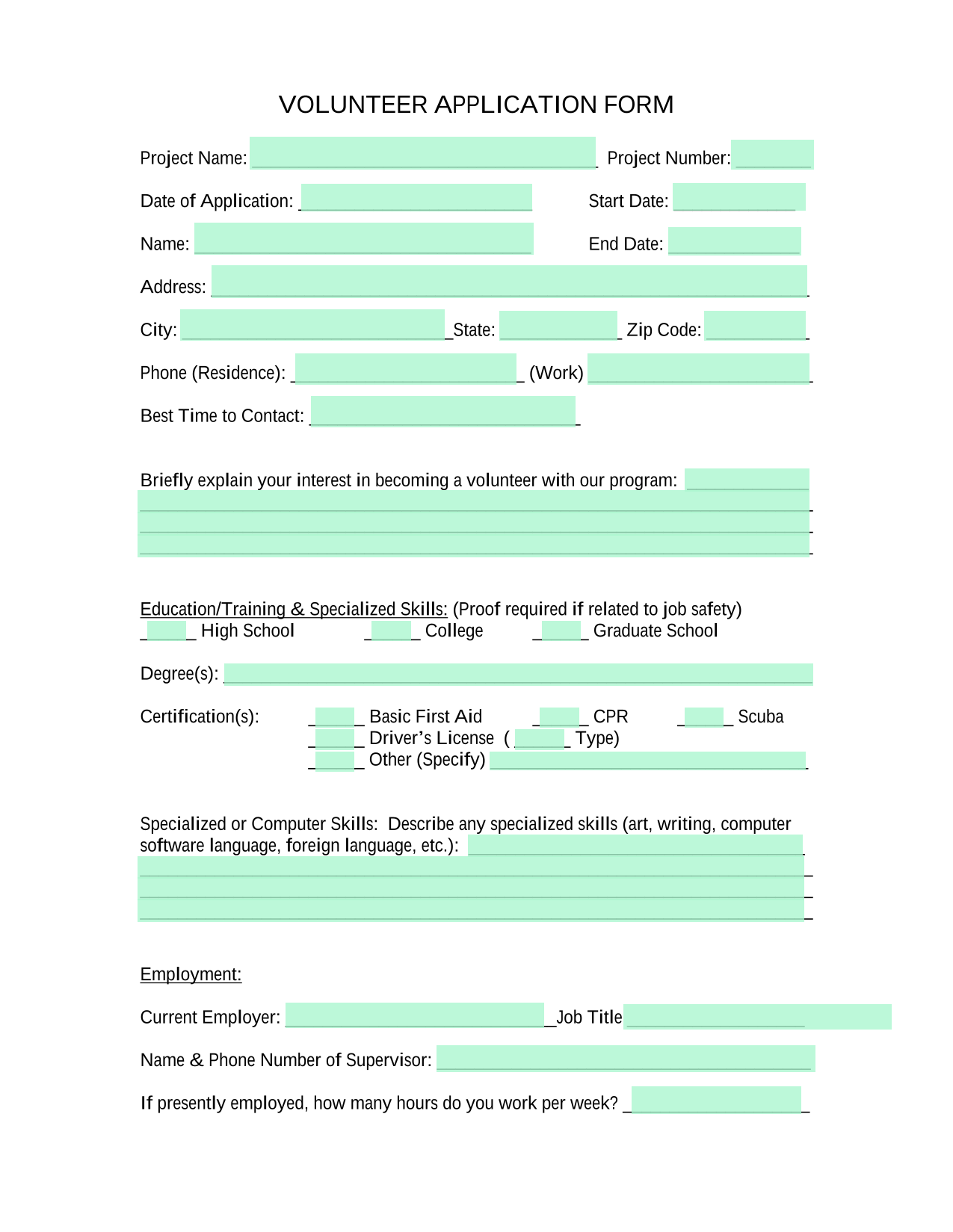 Volunteer Application Form screenshot