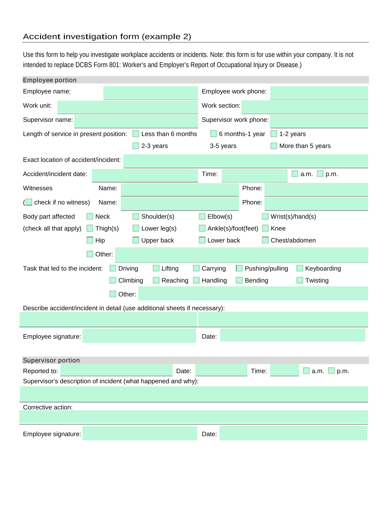 Accident Investigation Form (Example 2) screenshot
