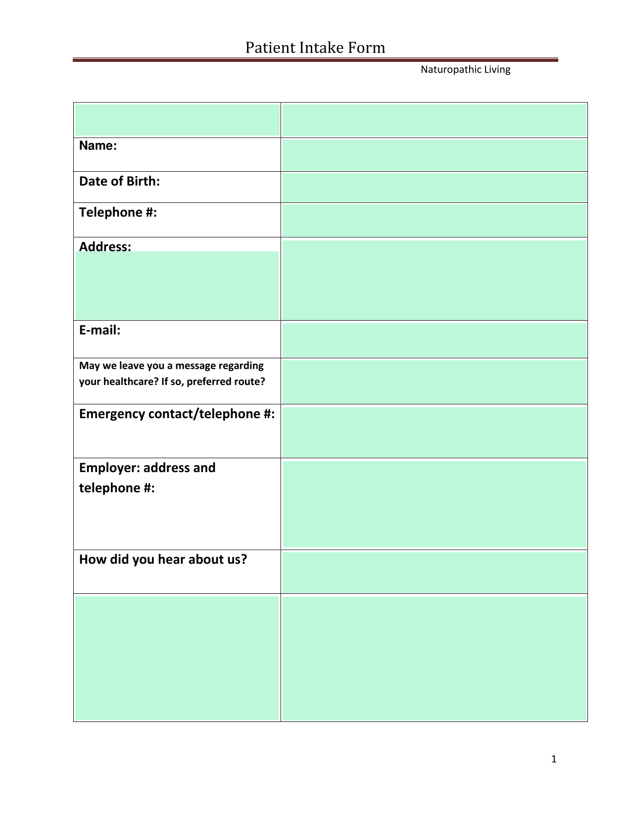 Patient Intake Form screenshot